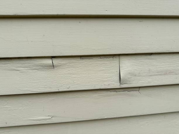 Best Storm Damage Siding Repair  in Rancho Cumonga, CA